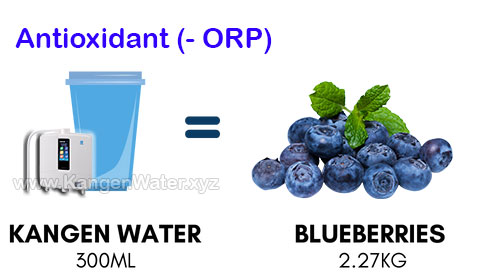 antioxidant kangen water orp