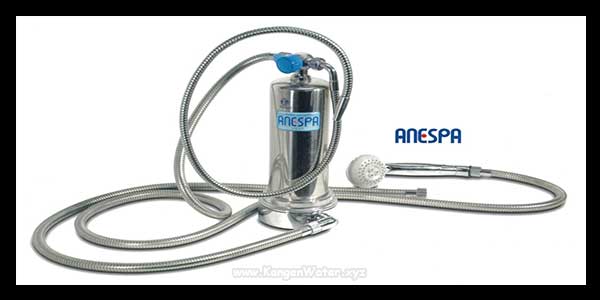 anespa kangen water enagic